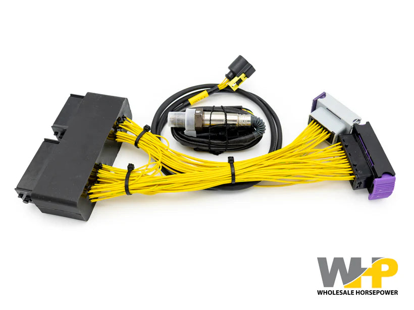 ECUMaster EMU Black Plug-and-Play adapter for Mitsubishi EVO X